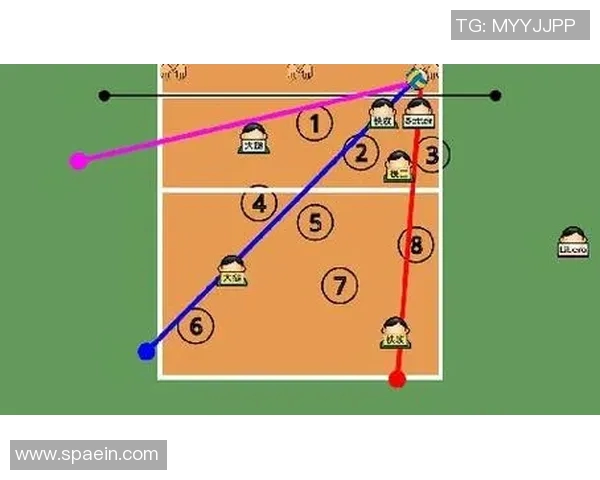 深圳排球队区域防守策略解析与深度剖析排球战术的奥秘