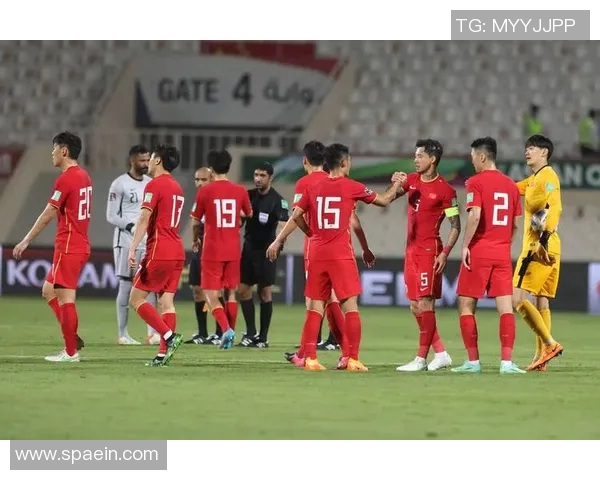 深圳足球队在世界杯预选赛中的技术表现分析与点评