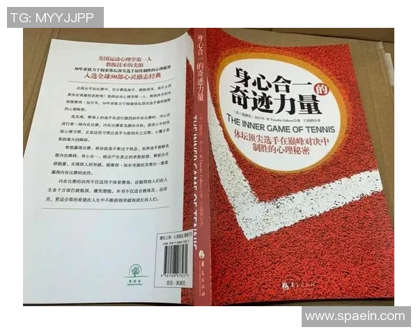 深圳网球队技术争议引发热议球员表现与教练策略的深度探讨