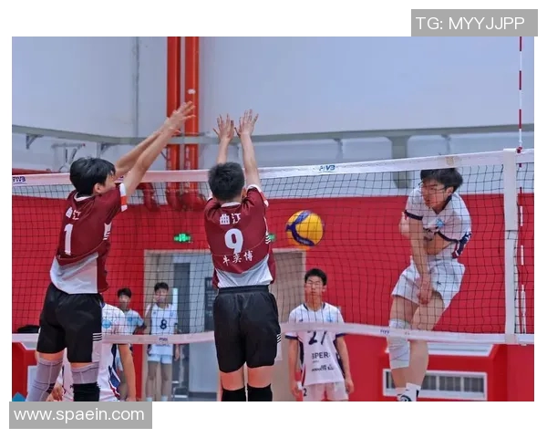 广州排球队的拼搏历程与荣耀时刻全景纪实