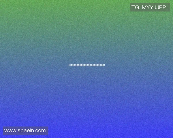 深入探讨上海篮球队在赛季中的数据分析与实力表现评估