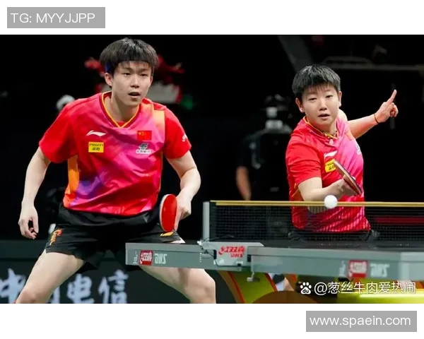 成都羽毛球队在世界杯预选赛中的战术分析与表现评估