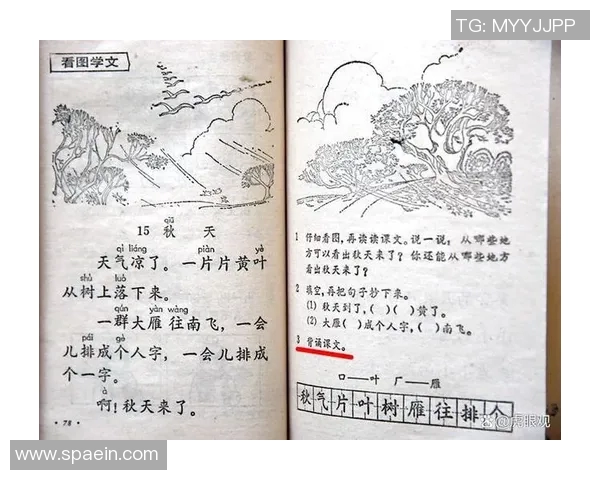 小学语文课文中的足球明星们与他们的奋斗故事