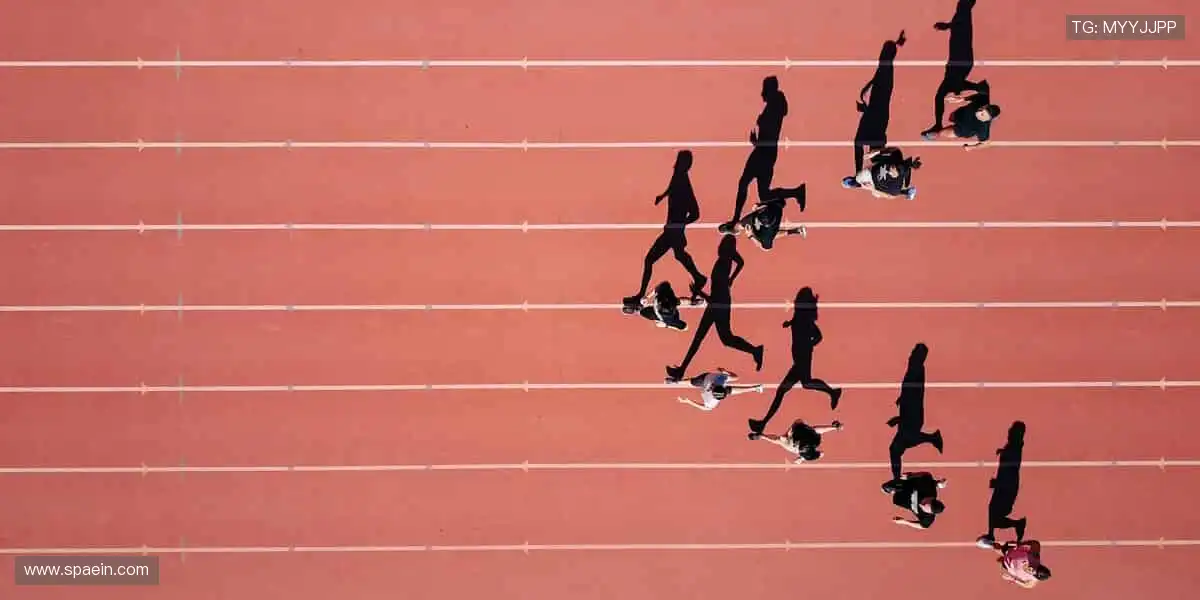 🏆 见证每一刻荣耀,体育赛事官网,让热爱永不缺席!