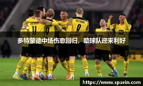多特蒙德中场伤愈回归，助球队迎来利好