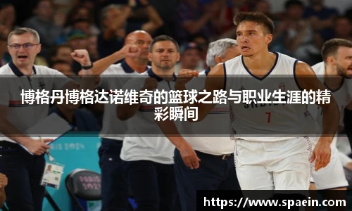 博格丹博格达诺维奇的篮球之路与职业生涯的精彩瞬间